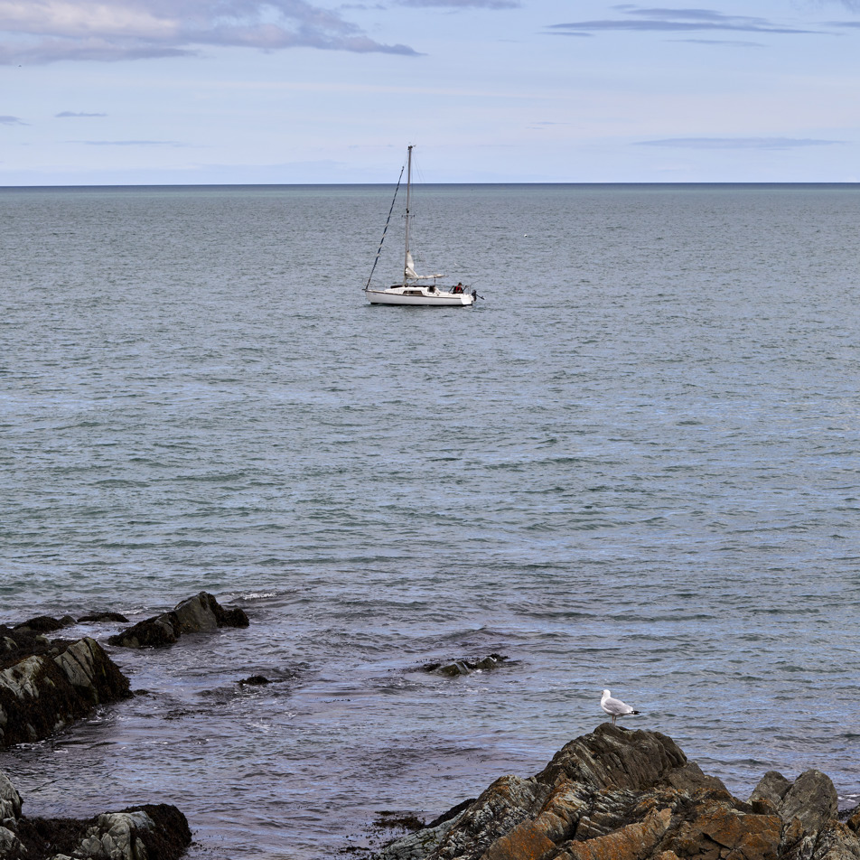 Greystones