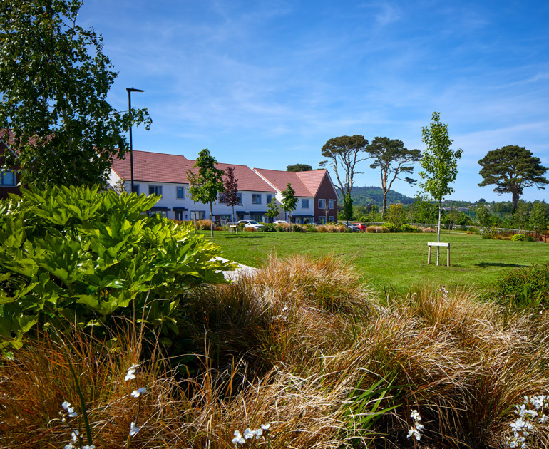 Archers-Wood-Delgany-Green-Area