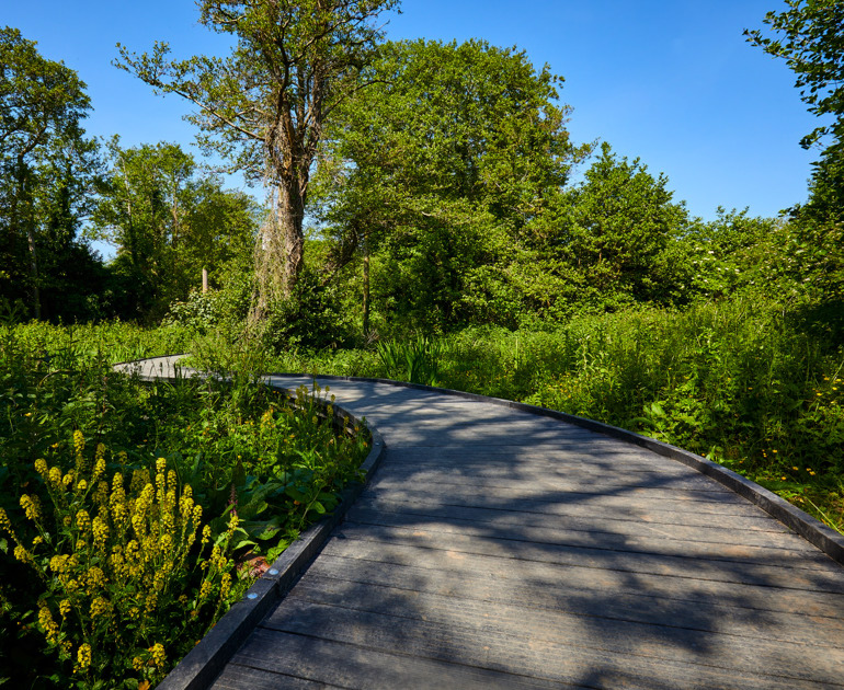 Archers-Wood-Delgany-Walk